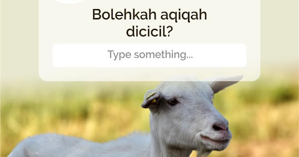 Hukum Mencicil Aqiqah