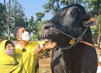 Irfan Hakim Tegaskan Tidak Berniat Viral Soal Sapi Grandong, Ini Pelajaran Yang Bisa Dipetik Kaum Muslimin Irfan Hakim Tegaskan 1