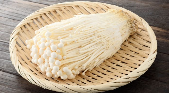 Jamur Enoki Sebabkan Penyakit dan Ini Anjuran Dalam Islam