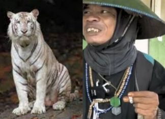 Viral! Joko Kendil, Musafir yang Mengembara Selama 24 Tahun Joko Kendil
