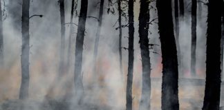 Kerusakan alam sebagai tanda akhir zaman