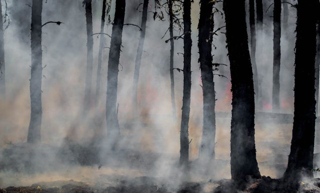 Kerusakan alam sebagai tanda akhir zaman