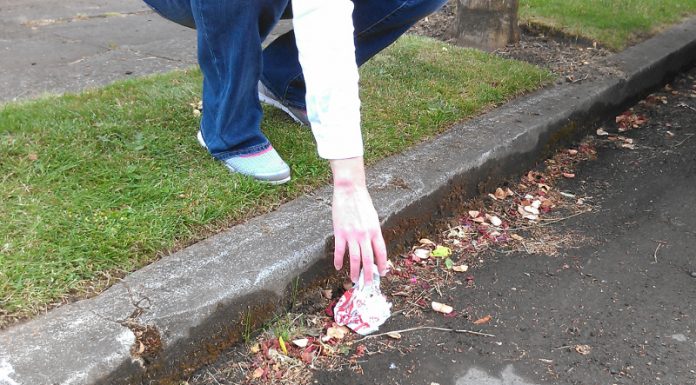 Memungut Sampah di Jalan