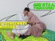 Keutamaan Hubungan Intim Malam Jumat