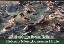 Makan Ikan Pemakan Kotoran, Apa Hukumnya? Makan Ikan Pemakan Kotoran