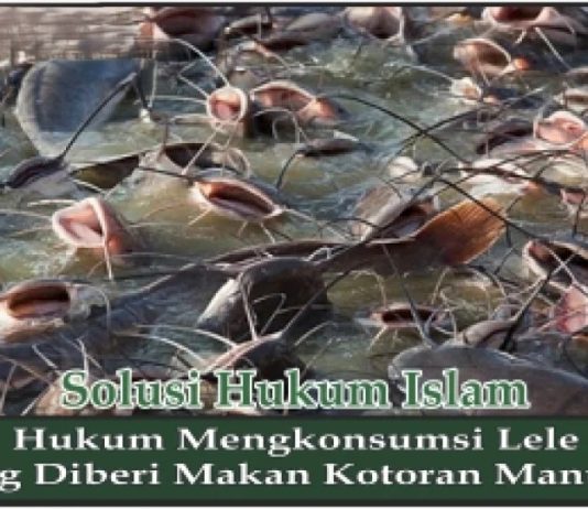 Makan Ikan Pemakan Kotoran