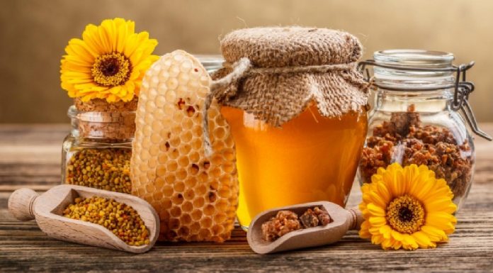 makanan Favorit Rasulullah