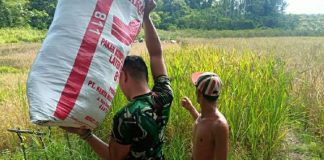 Membantu Tidak Harus Memberi