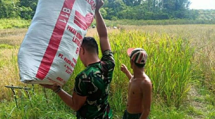 Membantu Tidak Harus Memberi