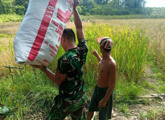 Membantu Tidak Harus Memberi