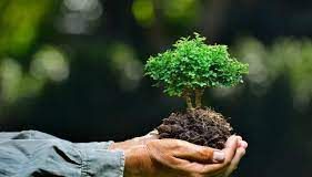 Mengapa kita harus berlaku Ihsan terhadap alam