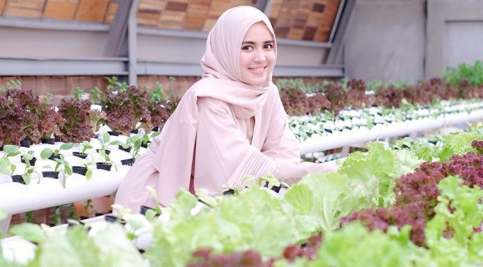 Nasihat Islami Untuk Para Petani: Jangan Berkecil Hati Ketika Gagal Panen! gagal panen