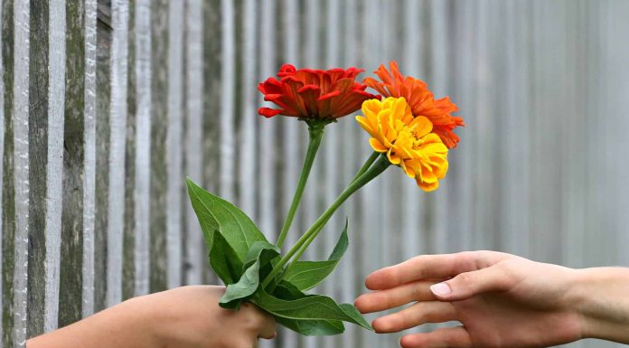 Pemuda Ancam Ulama Yang Mengobatinya dan Membalas Kebaikan Menurut Islam