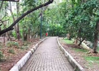 Penertiban Tempat LGBT Berkumpul Dianggap Melanggar HAM 2