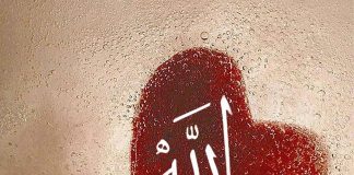 Prinsip Keimanan: Tanyakan Diri Sendiri, Apakah Kamu Pantas untuk Cinta Allah? Prinsip Keimanan Tanyakan Diri Sendiri, Apakah Kamu Pantas untuk Cinta Allah