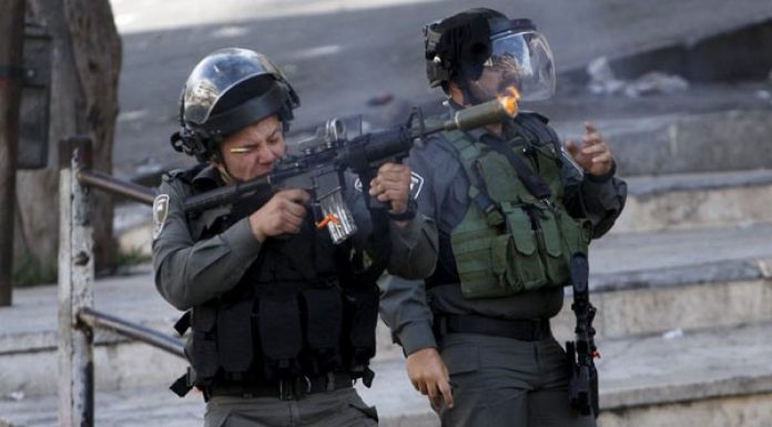 Remaja Palestina Ditembak Mati Karena Menikam Warga Israel, Bolehkah Ini Menurut Pandangan Islam? Remaja Palestina Ditembak Mati Karena Menikam Warga Israel 1