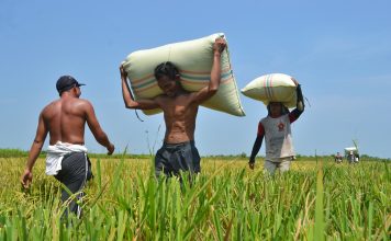 Rezeki-Sudah-Diatur-Allah-Kenapa-Kita-Masih-Tetap-Harus-Mencarinya-1