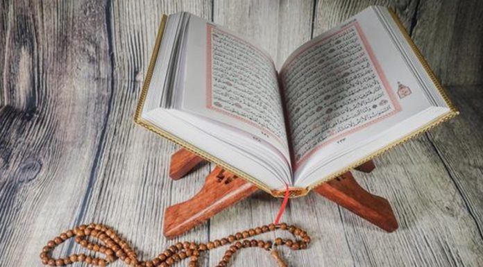 Surat Al Baqarah: Keutamaan Bagi Manusia Jika Rajin Membacanya Surat Al Baqarah