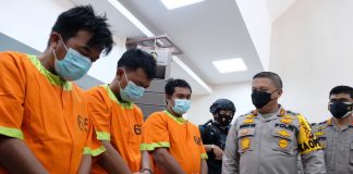 Teror Kepala Anjing 3