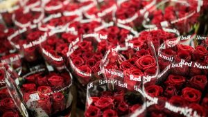 valentine 3