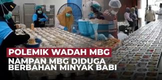 Wadah MBG mengandung minyak babi bagaimana hukumnya