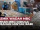 Wadah MBG mengandung minyak babi bagaimana hukumnya