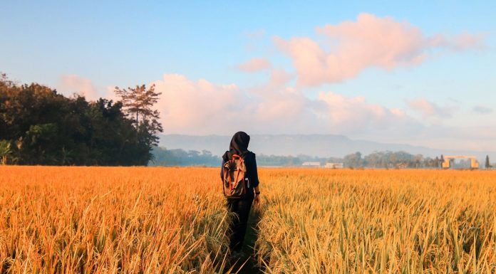 Wanita Dibunuh Temen Kencan 2