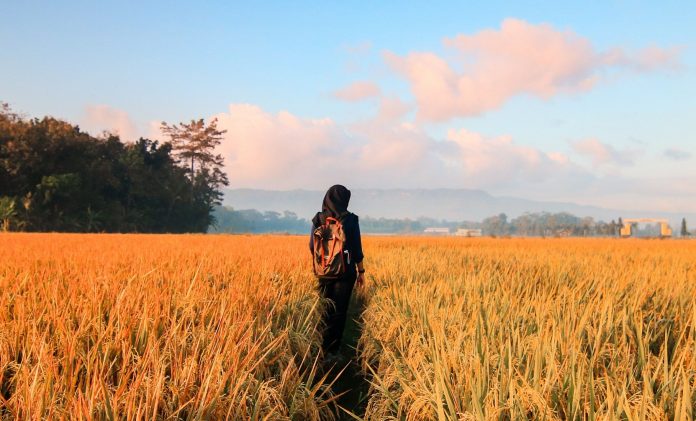 Wanita Dibunuh Temen Kencan 2