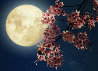 Bolehkah Merayakan Tradisi White Day dalam Islam? White day