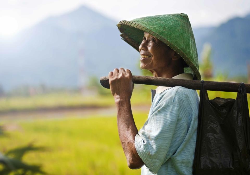 Won Bin menjadi petani