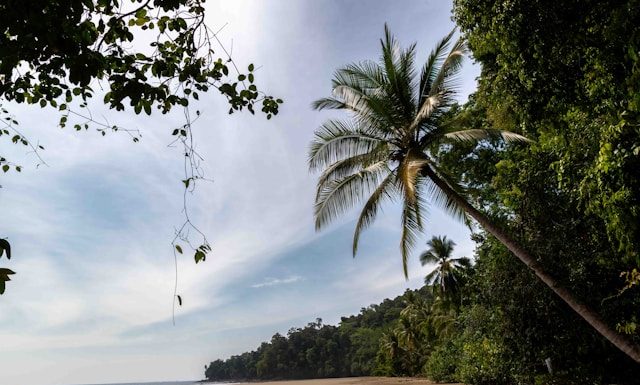 Alam sebagai Bukti Kebesaran Allah dan Renungan bagi Setiap Mukmin alam sebagai bukti kebesaran Allah