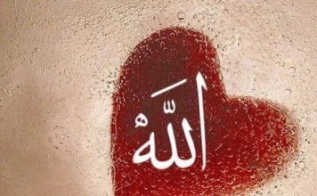 Amalan Hati Manusia Lebih Penting dari Amalan Badan, Ini Alasannya amalan hati manusia