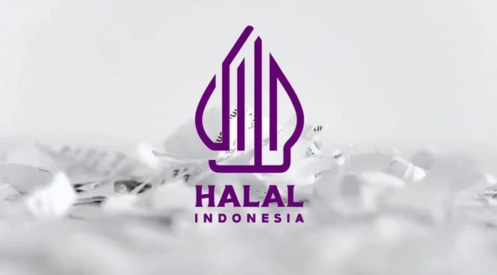 Apakah Kura-Kura Halal Dikonsumsi? Ternyata Ini Jawabannya apakah kura-kura halal