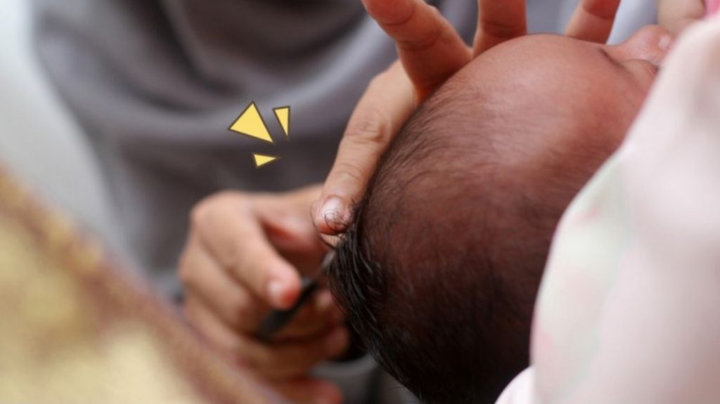 aqiqah sapi untuk berapa orang