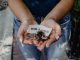 Bagaimana Tahu Niat Benar atau Tidak, Memahami Keikhlasan dalam Islam bagaimana tahu niat benar atau tidak