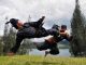 Berita Madiun Hari Ini Tentang Dunia Silat, Ini Pandangan Islam Terhadap Penyalahgunaan Ilmu Silat