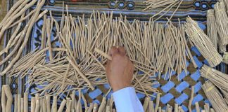 Ciri – ciri siwak palsu