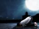 Bacaan Doa Terbangun di Tengah Malam, Ini Ibadah yang Dianjurkan Rasulullah Doa terbangun di tengah malam