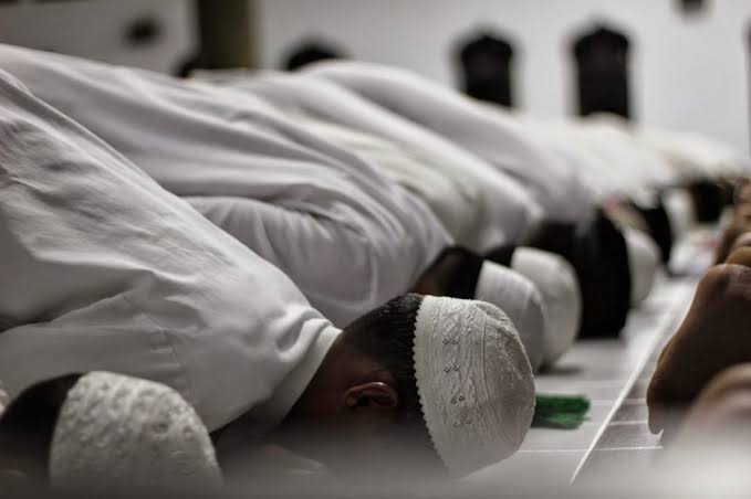 Fase Kehidupan Manusia