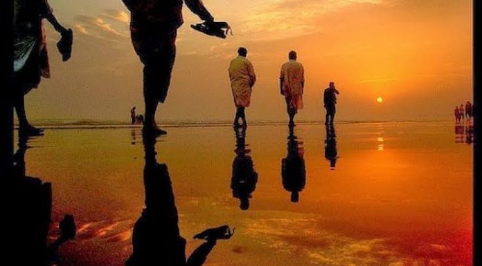 Fase Kehidupan Manusia