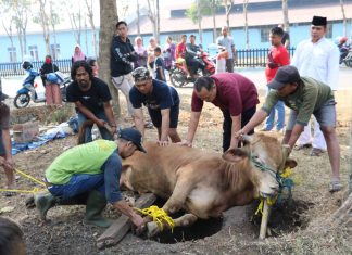 gajah mati
