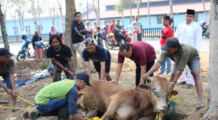 gajah mati