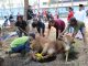 gajah mati