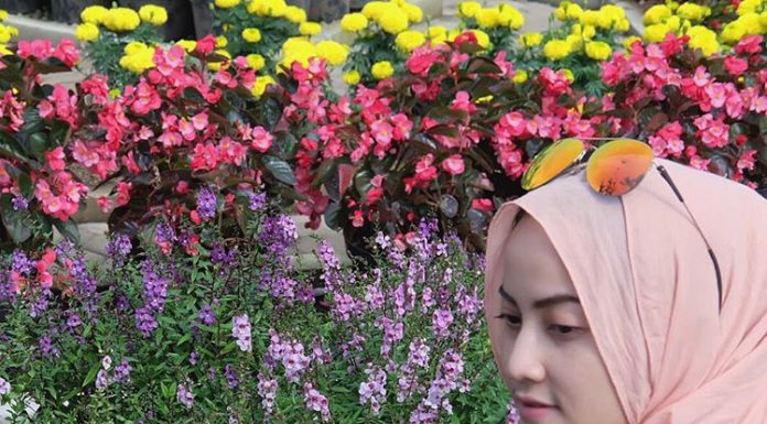Hadits Arbain Ke 1: Niat Apapun Harus Lurus dan Benar Hadits Arbain Ke 1: Niat Apapun Harus Lurus dan Benar