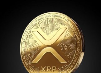 harga koin XRP