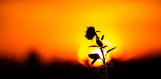 hikmah menjaga alam ciptaan Allah