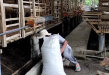 hukum jual beli pupuk kandang dalam islam