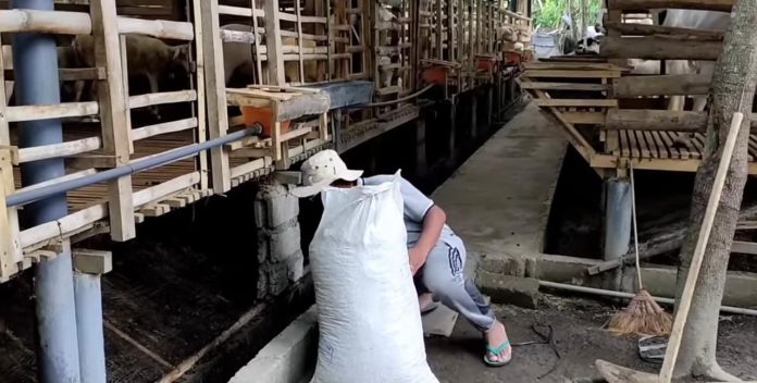 hukum jual beli pupuk kandang dalam islam