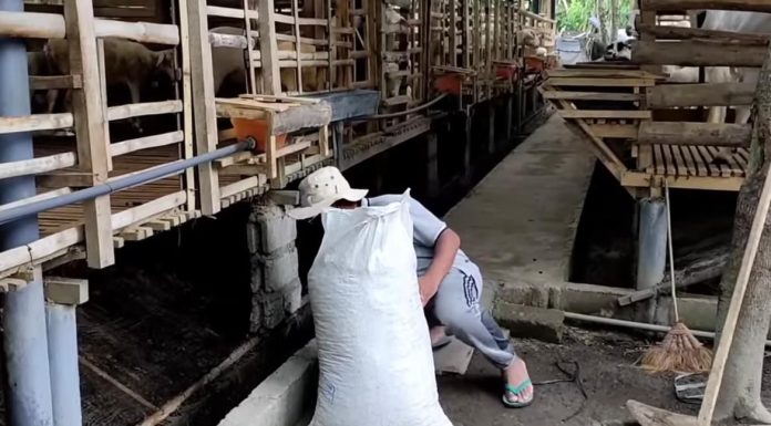 Hukum Jual Beli Pupuk Kandang, Halal atau Tidak? hukum jual beli pupuk kandang dalam islam