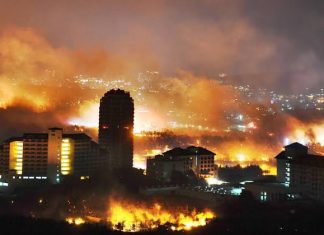 Kebakaran Hutan Di Korea Selatan Kebakaran hutan di Korea Selatan